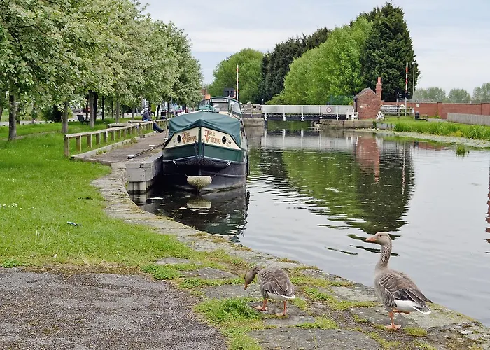 Dom wakacyjny Partridge *